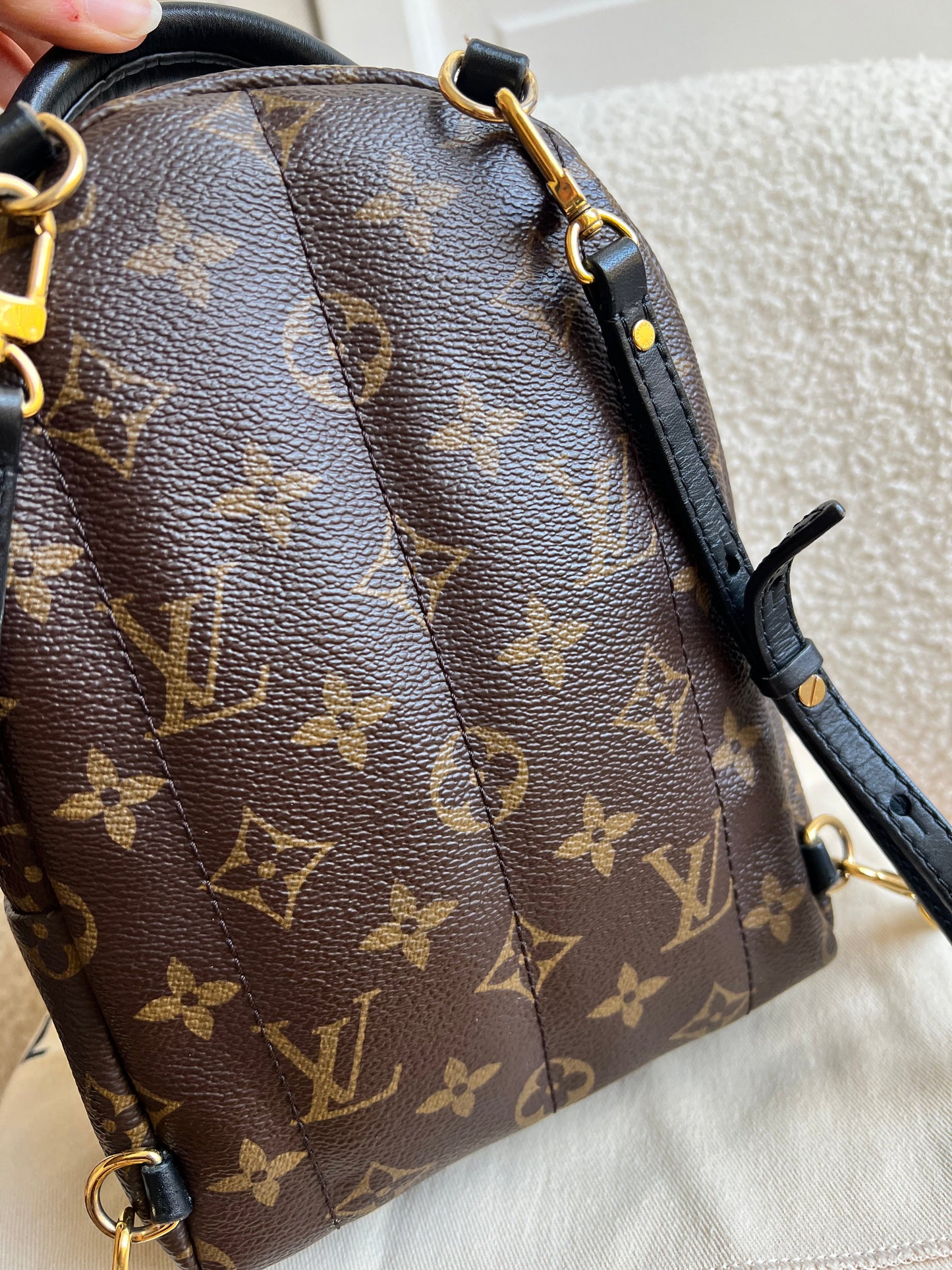 Louis Vuitton Palm Springs Mini Backpack (RRP £1,860)