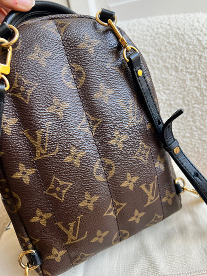 Louis Vuitton Palm Springs Mini Backpack (RRP £1,860)