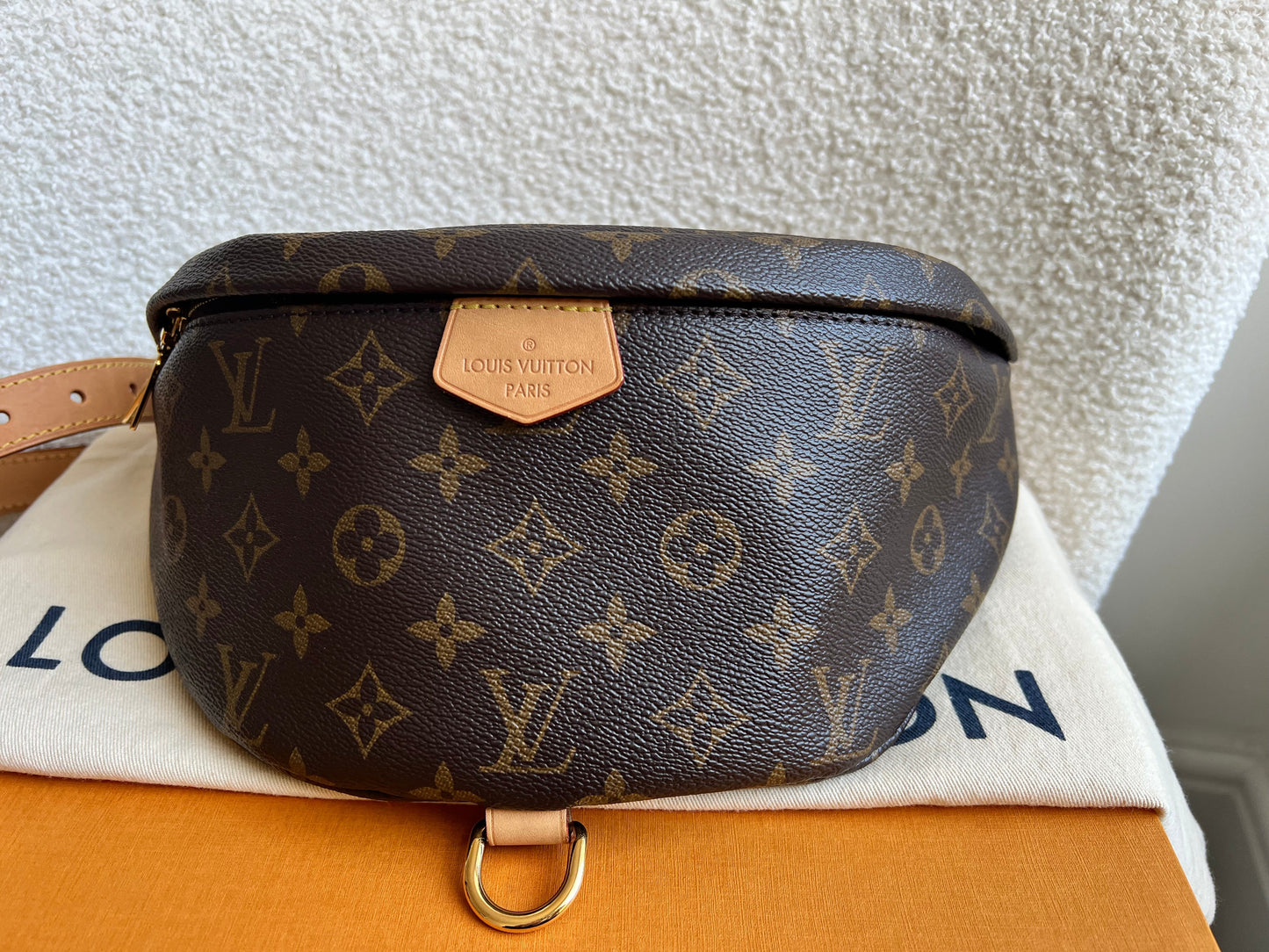 Louis Vuitton Bumbag in Monogram Canvas