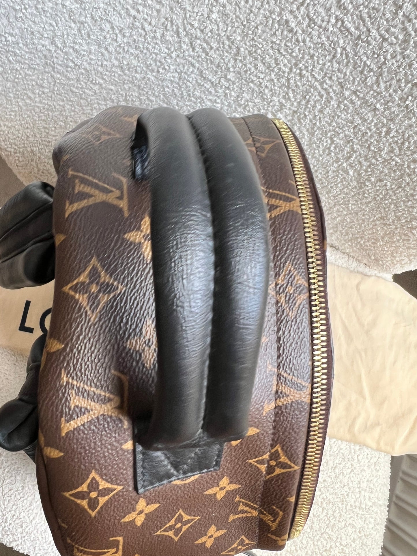 Louis Vuitton Palm Springs MM Backpack (RRP £2,090)