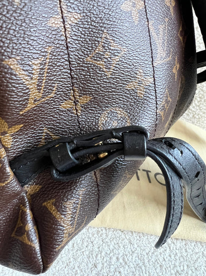Louis Vuitton Palm Springs MM Backpack (RRP £2,090)
