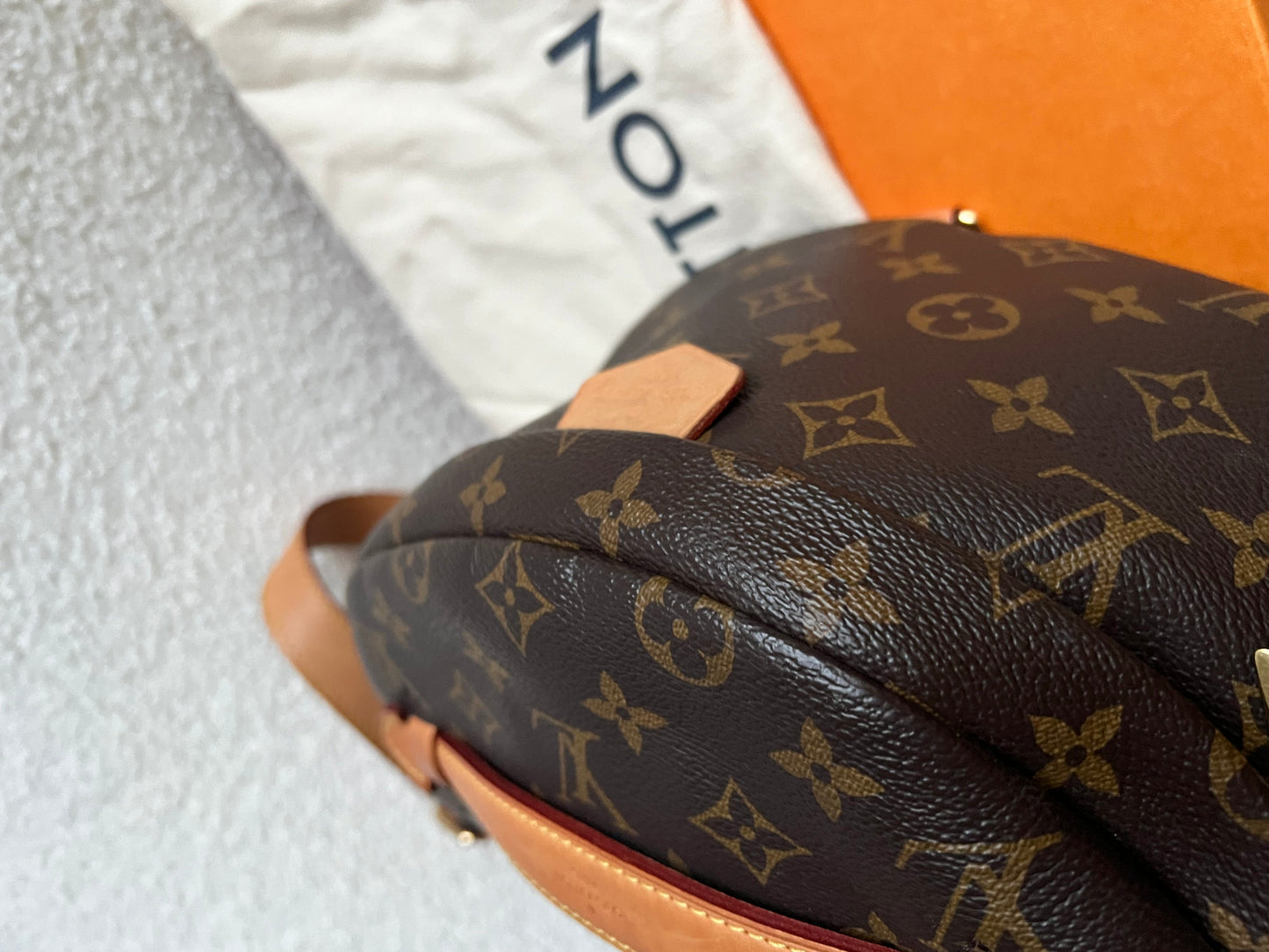 Louis Vuitton Bumbag in Monogram Canvas