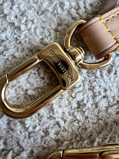 Louis Vuitton Canvas Bandouliere Strap