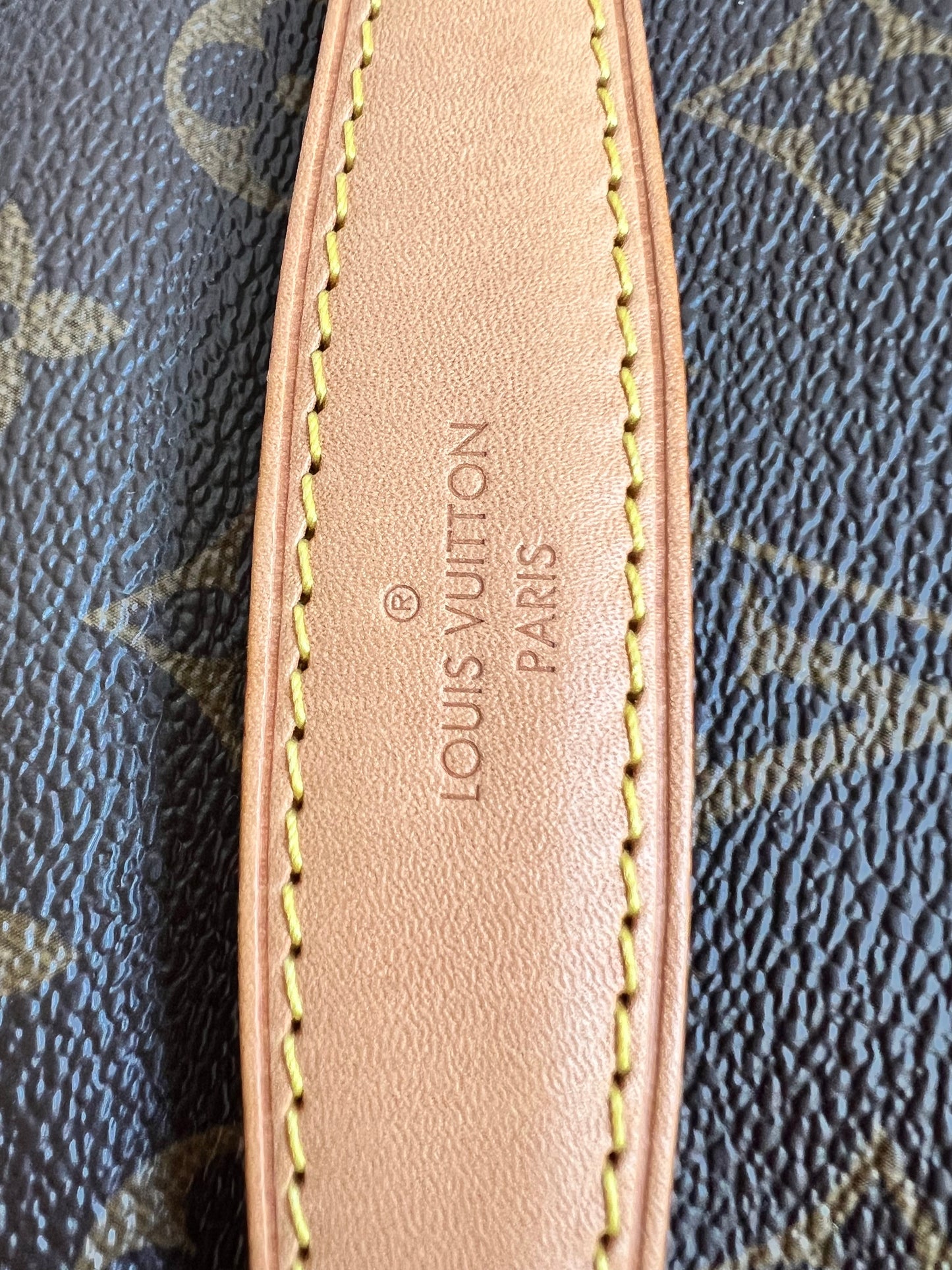 Louis Vuitton Bumbag in Monogram Canvas