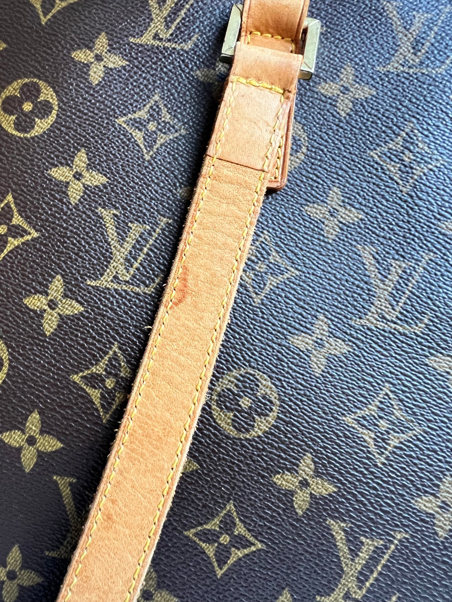 Louis Vuitton Luca Tote Monogram
