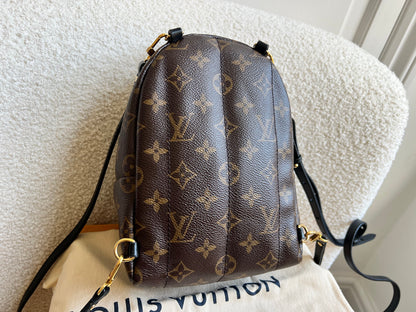 Louis Vuitton Palm Springs Mini Backpack (RRP £1,860)