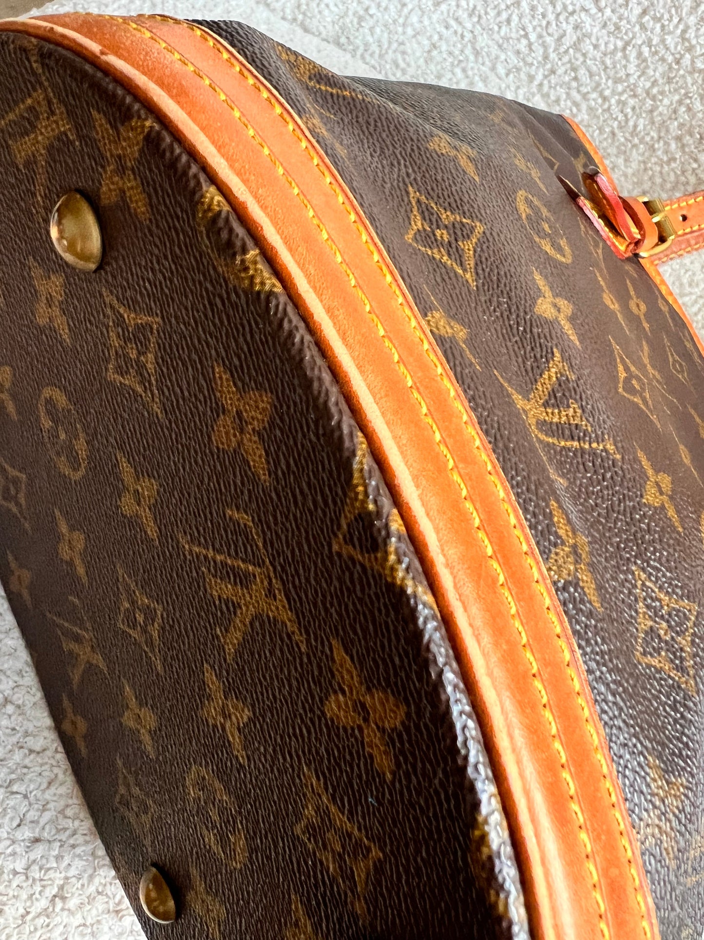 Louis Vuitton Monogram Bucket Bag