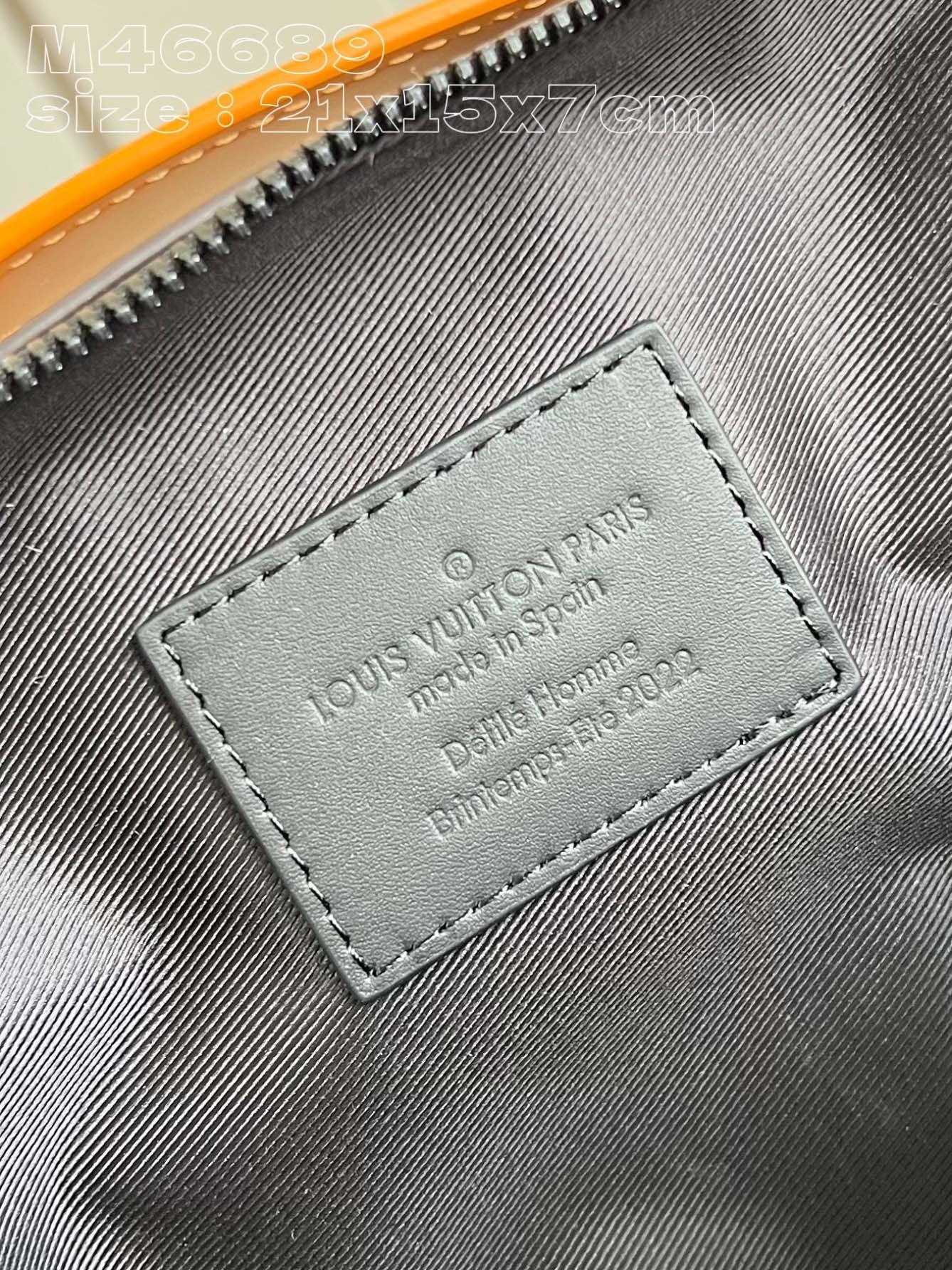 Louis Vuitton Soft Handle Trunk Bag