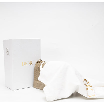 Dior Chain Leather Crossbody Bag