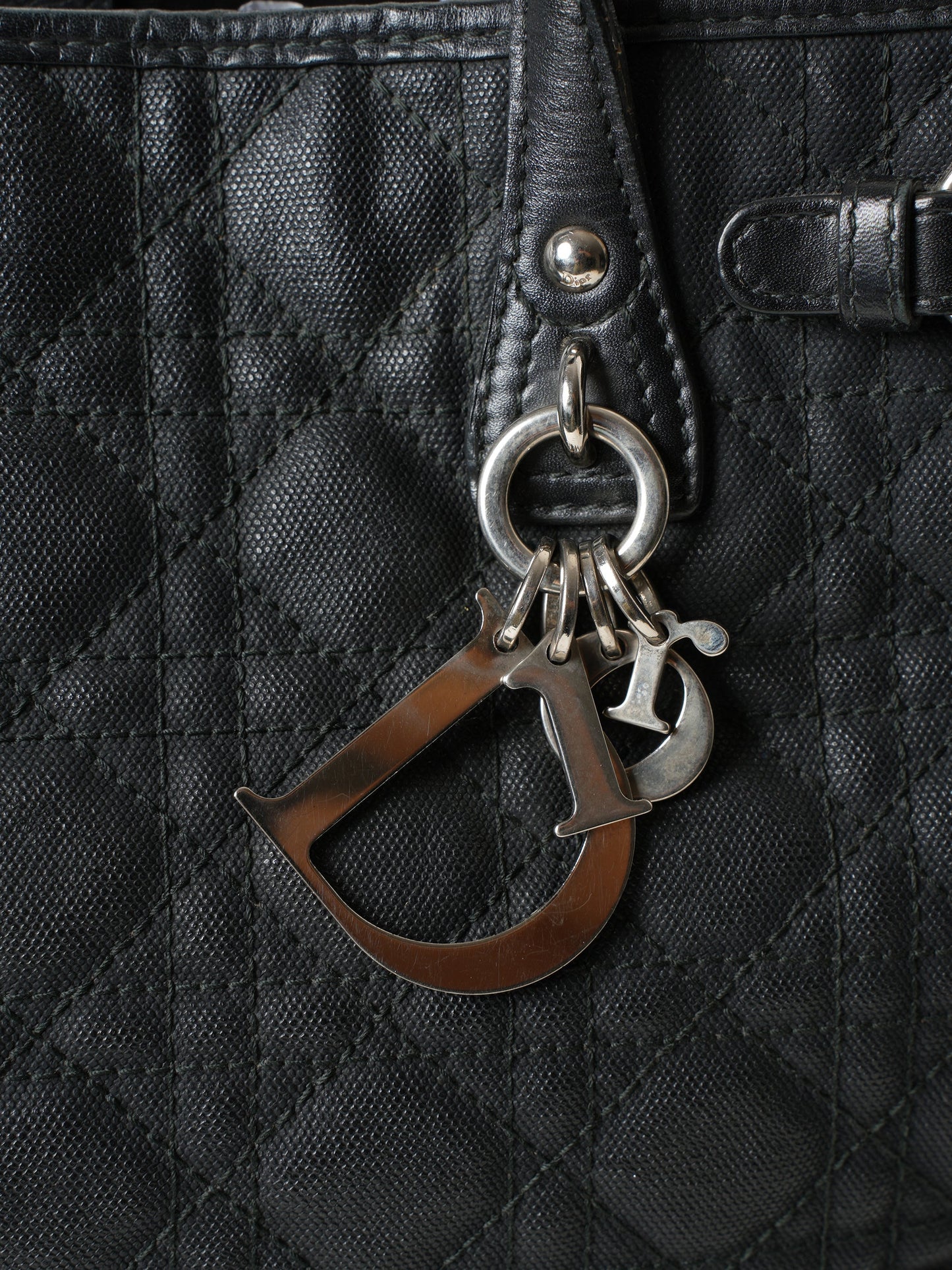 Christian Dior Panerea Tote Bag