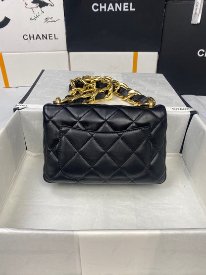 Chanel Luxury Handbag Style 255