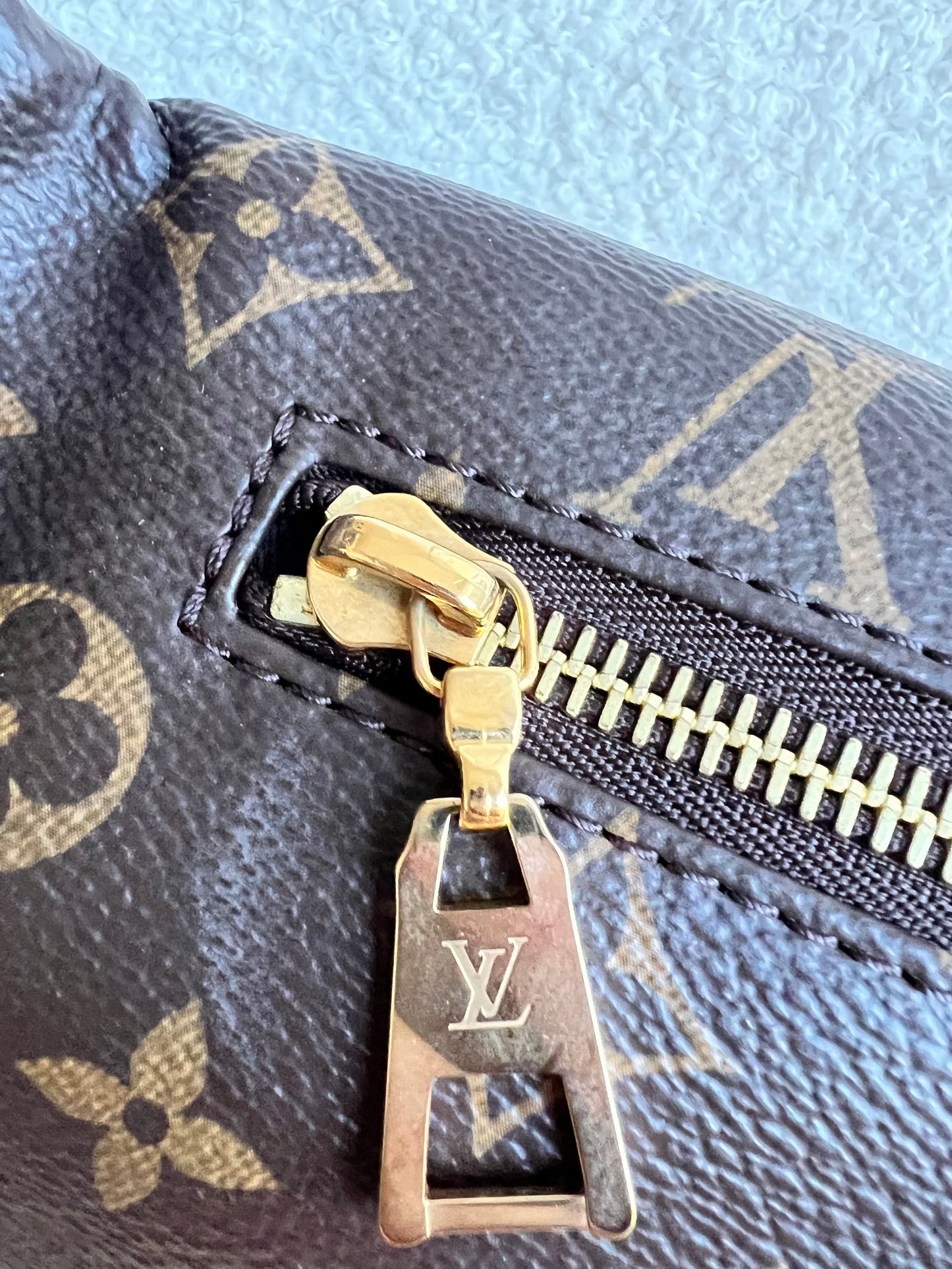 Louis Vuitton Bumbag in Monogram Canvas