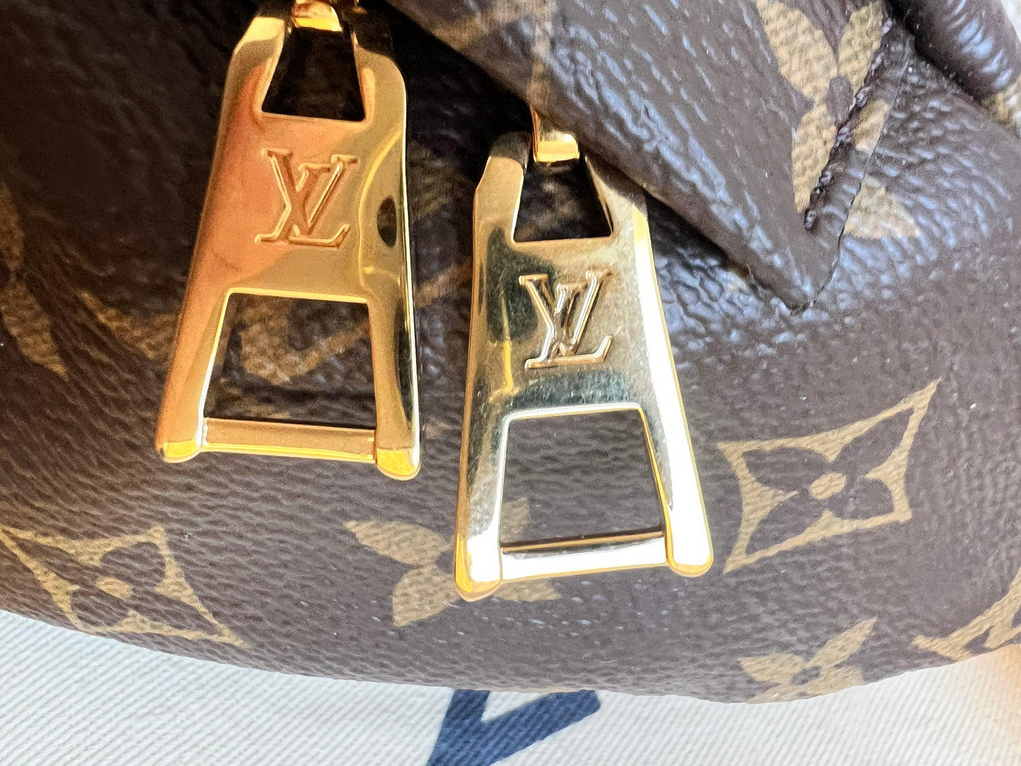Louis Vuitton Bumbag in Monogram Canvas