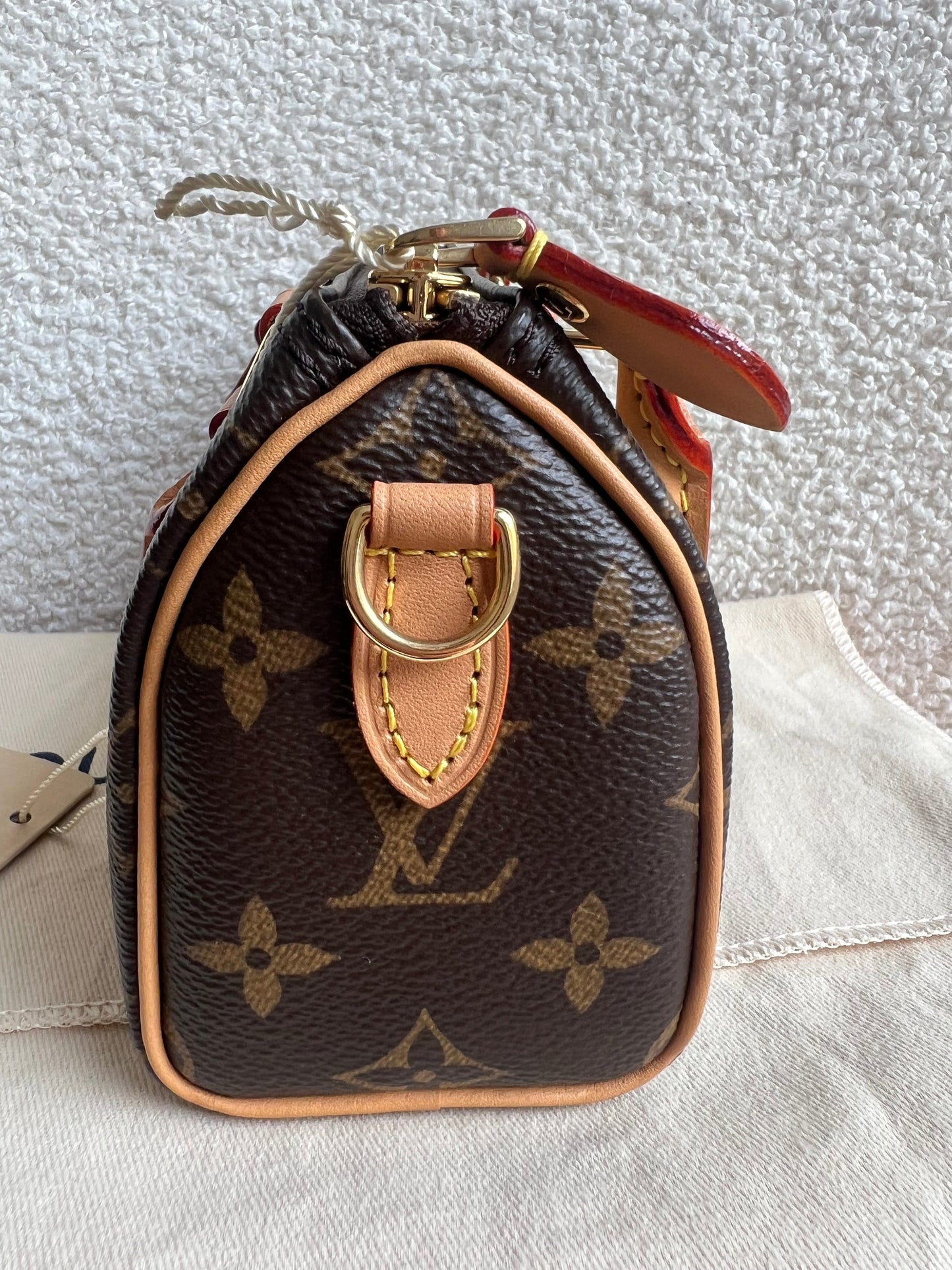 Louis Vuitton Speedy Nano Monogram (RRP £1450)