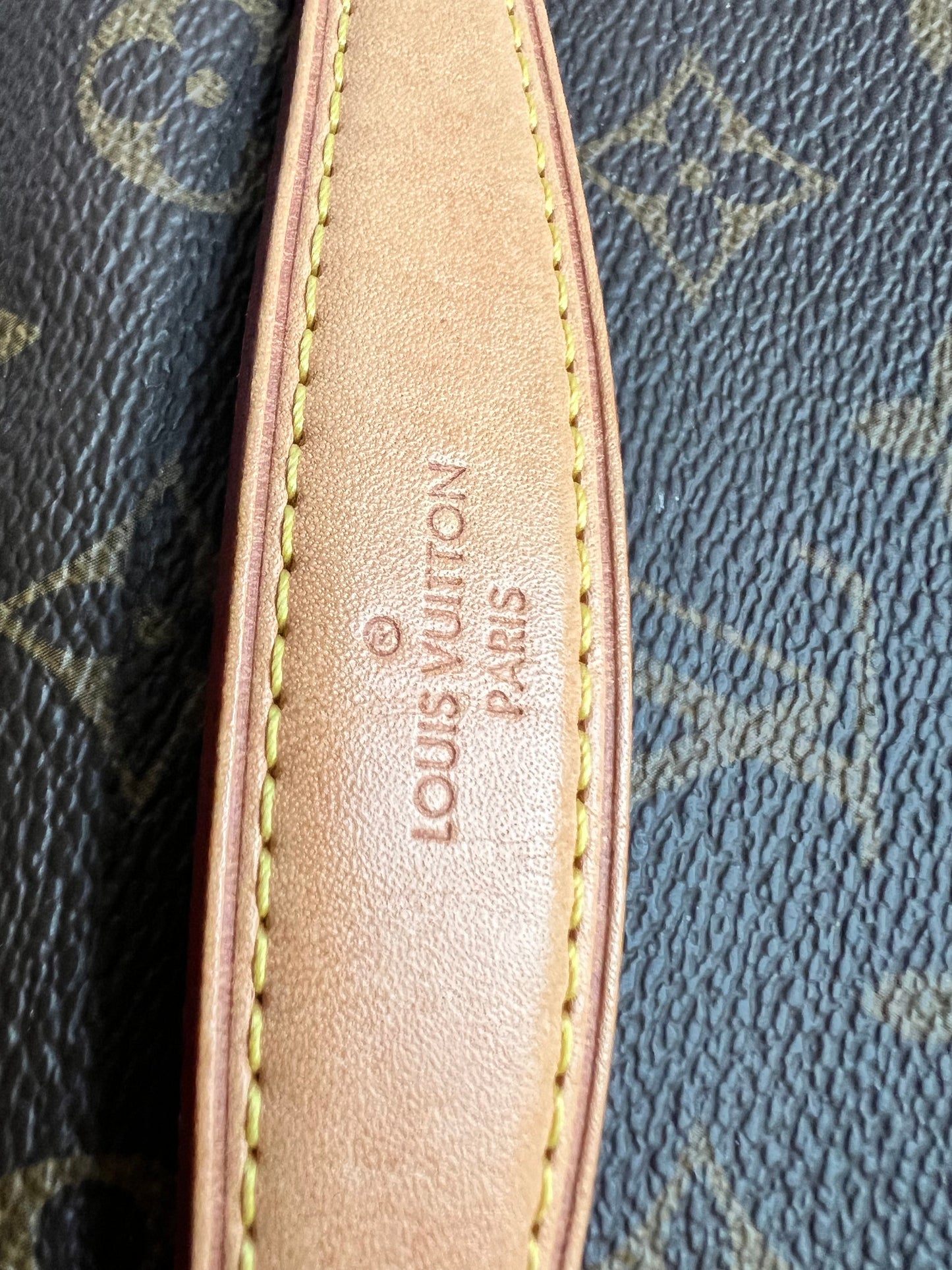 Louis Vuitton Bumbag in Monogram Canvas