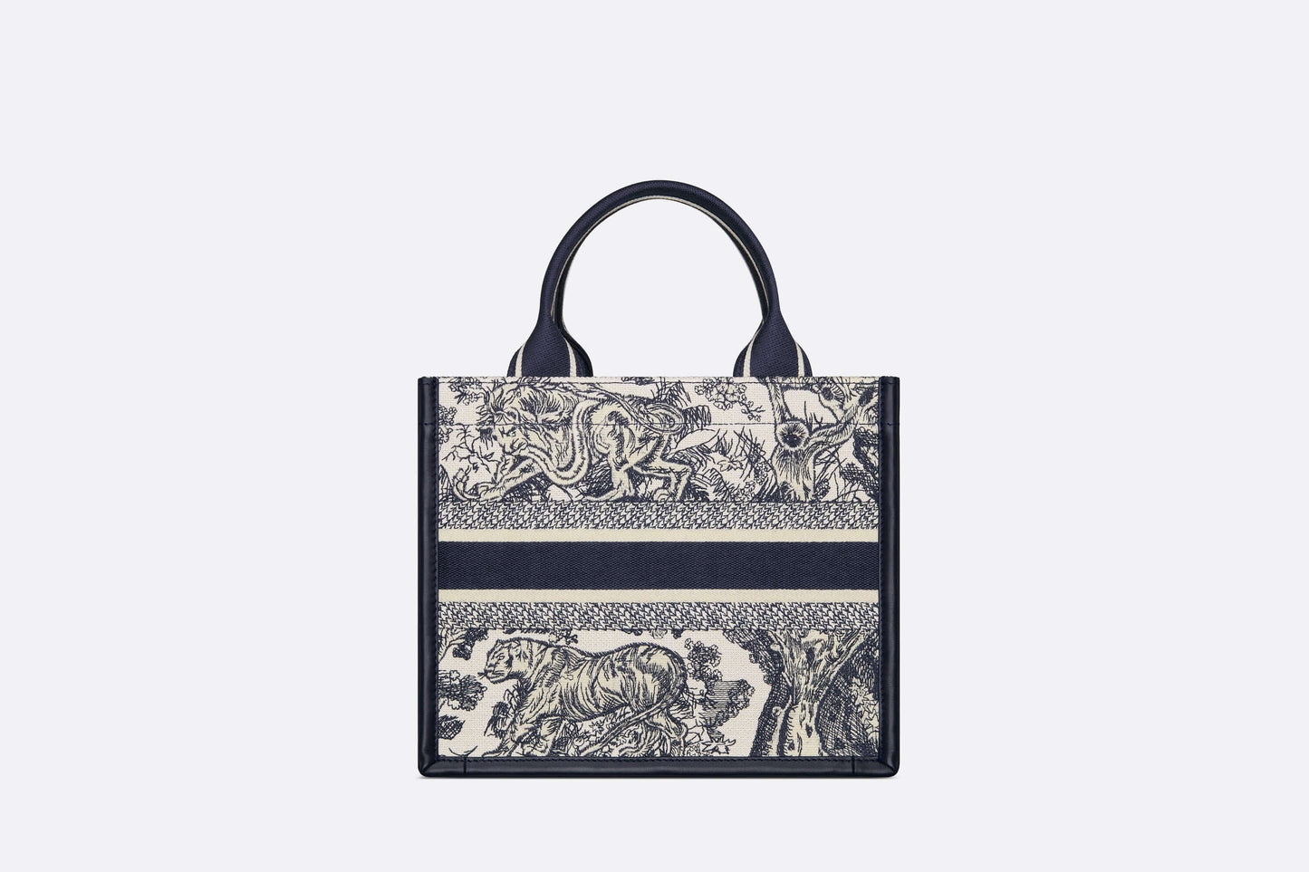 Dior Book Tote Leather Mini Tote Bag
