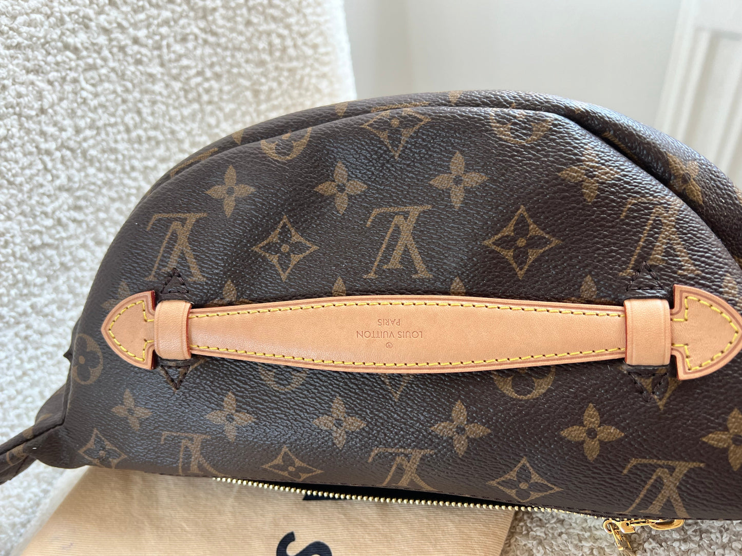 Louis Vuitton Bumbag in Monogram Canvas