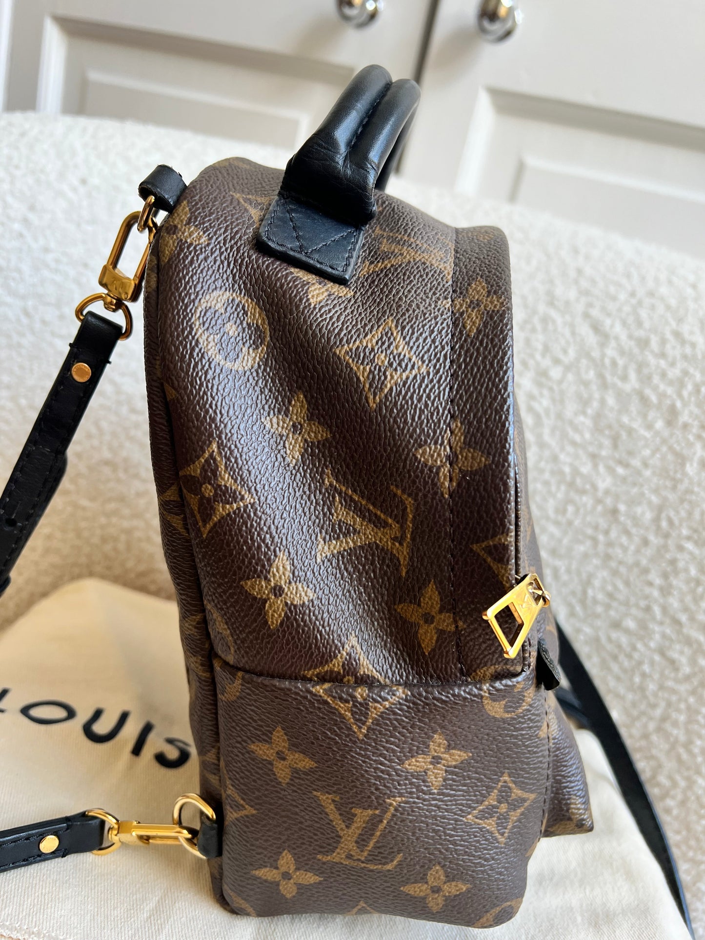 Louis Vuitton Palm Springs Mini Backpack (RRP £1,860)