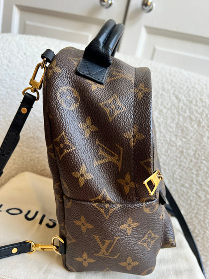 Louis Vuitton Palm Springs Mini Backpack (RRP £1,860)
