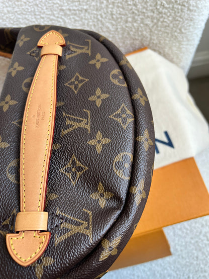 Louis Vuitton Bumbag in Monogram Canvas