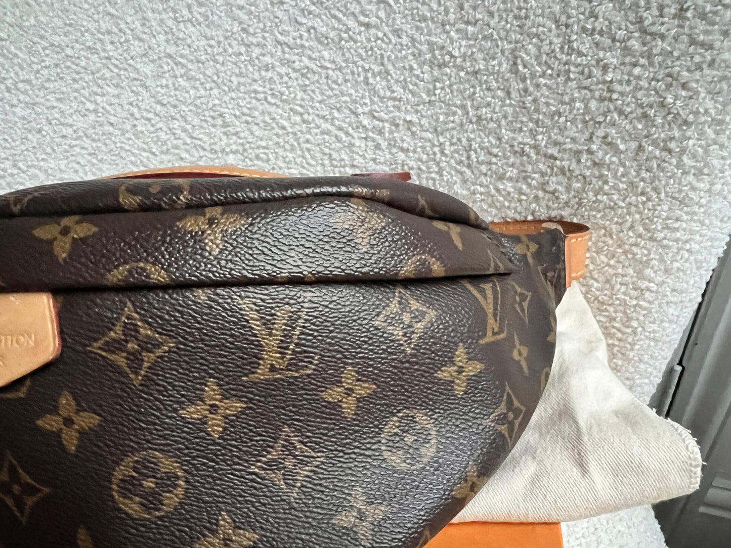 Louis Vuitton Bumbag in Monogram Canvas