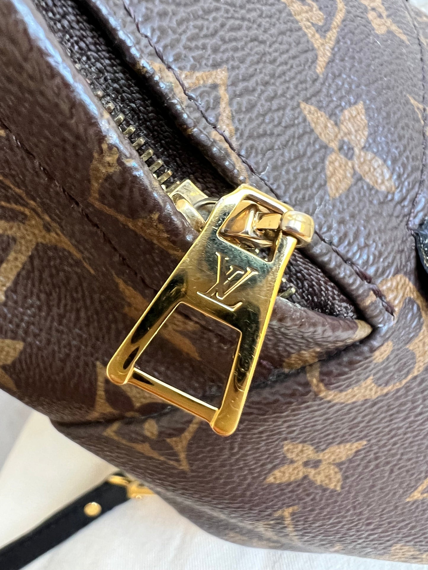 Louis Vuitton Palm Springs Mini Backpack (RRP £1,860)