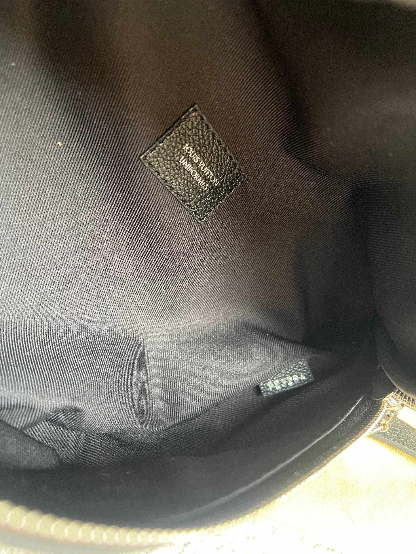 Louis Vuitton Bumbag in Black Empreinte