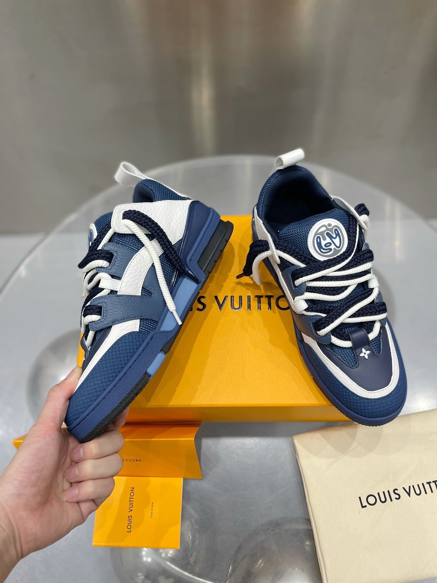 Louis Vuitton Skate Sneakers