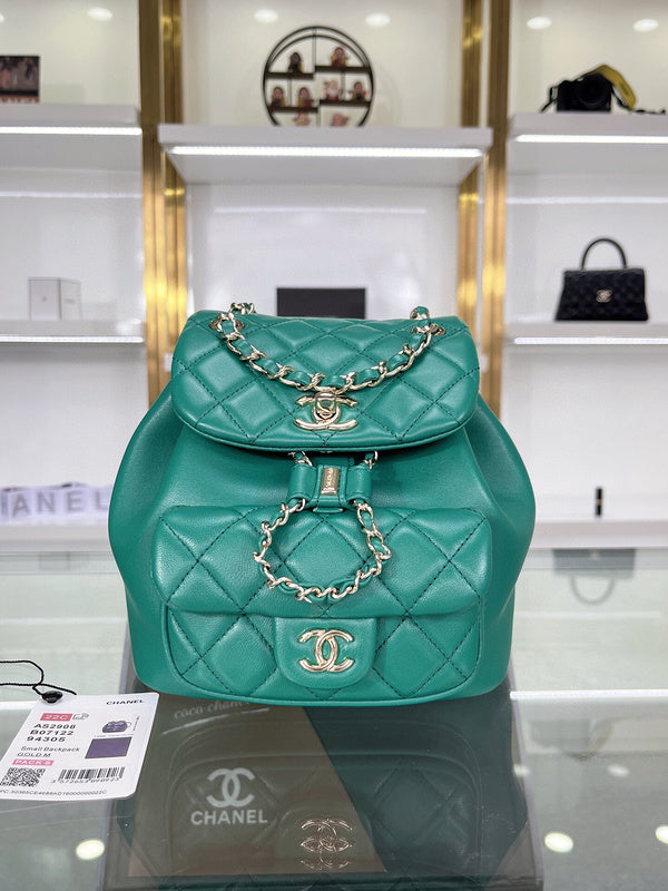 Chanel Luxury Handbag Style 257