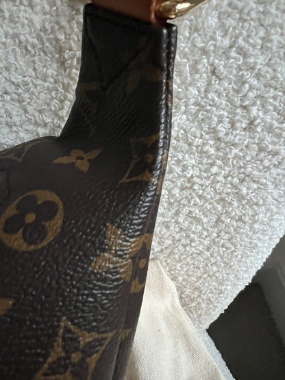 Louis Vuitton Bumbag in Monogram Canvas