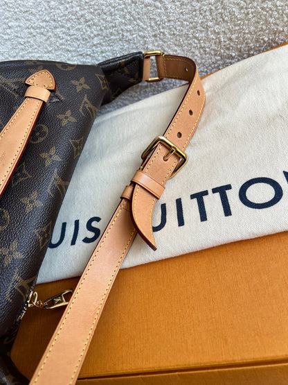 Louis Vuitton Bumbag in Monogram Canvas