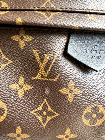 Louis Vuitton Palm Springs MM Backpack (RRP £2,090)
