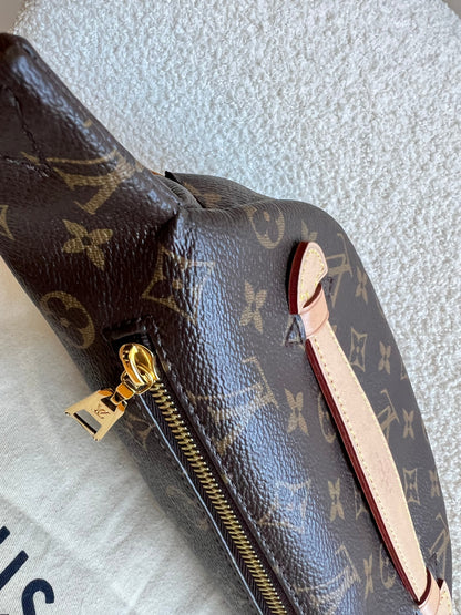 Louis Vuitton Bumbag in Monogram Canvas