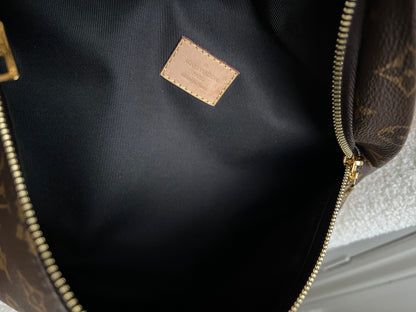 Louis Vuitton Bumbag in Monogram Canvas