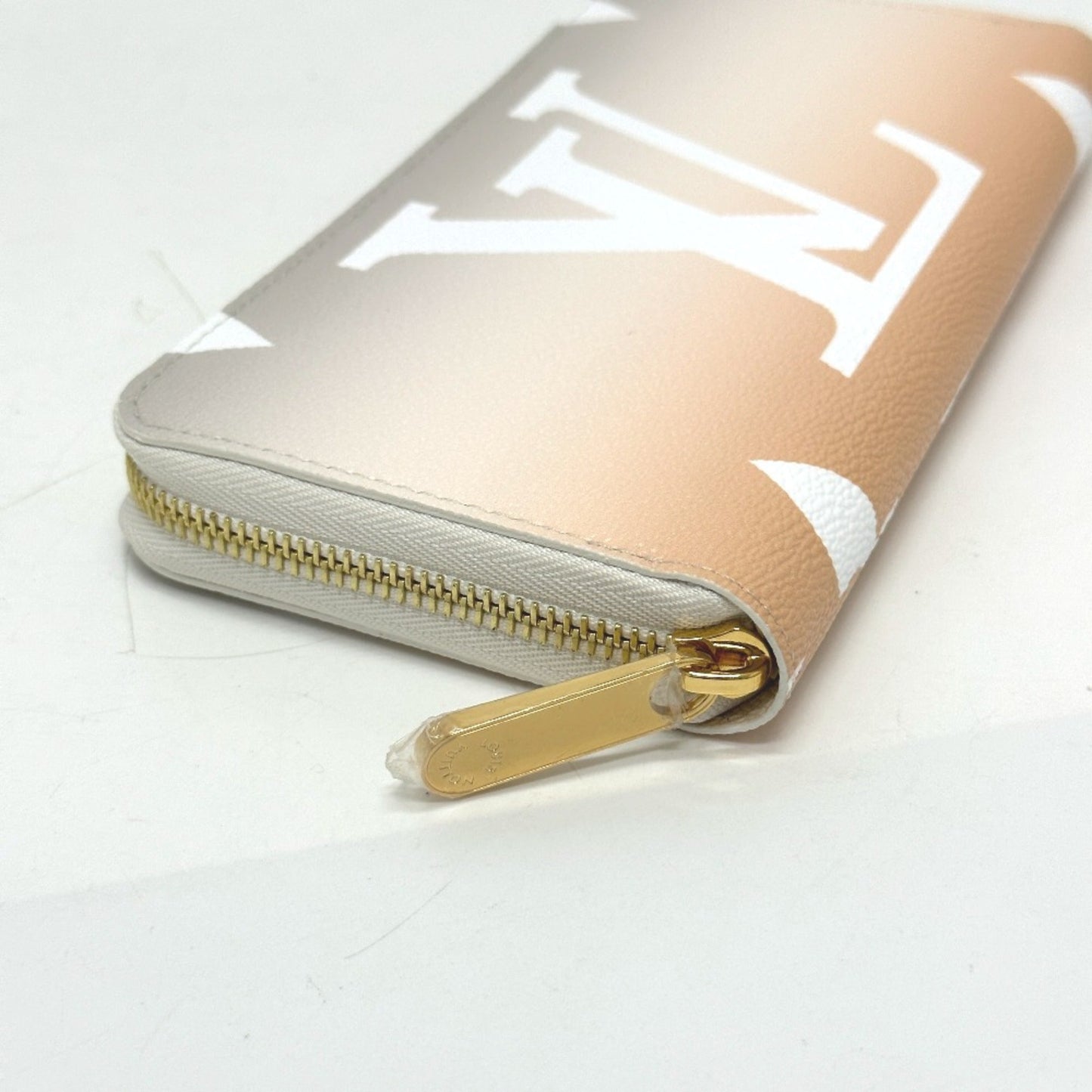 Louis Vuitton  Other Long Wallet (Bi-Fold)