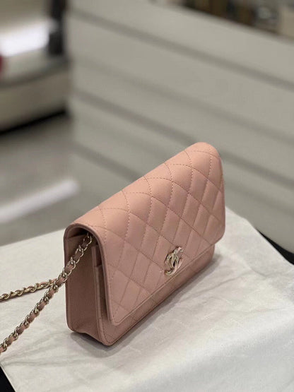 Chanel Luxury Handbag Style 325