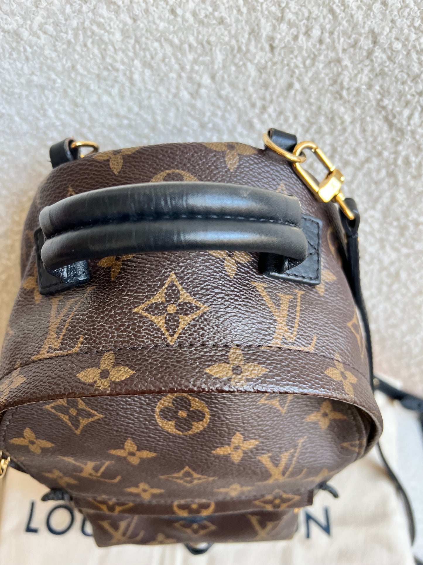 Louis Vuitton Palm Springs Mini Backpack (RRP £1,860)