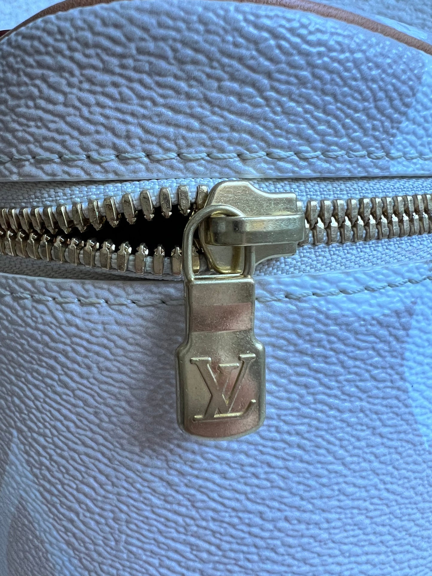 Louis Vuitton By the Pool Nice BB Bag Vanity Case