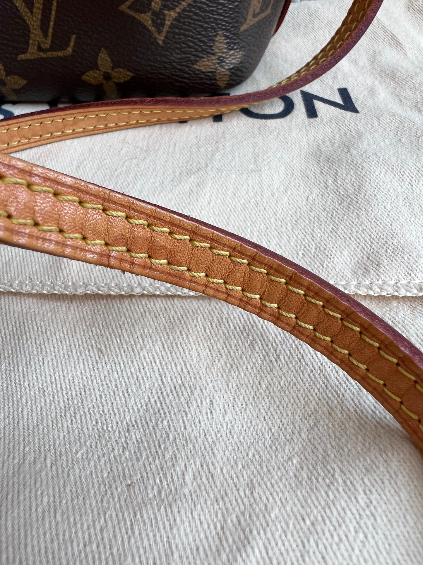 Louis Vuitton Nano Noe Bucket Bag Monogram