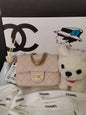 Chanel Luxury Handbag Style 100