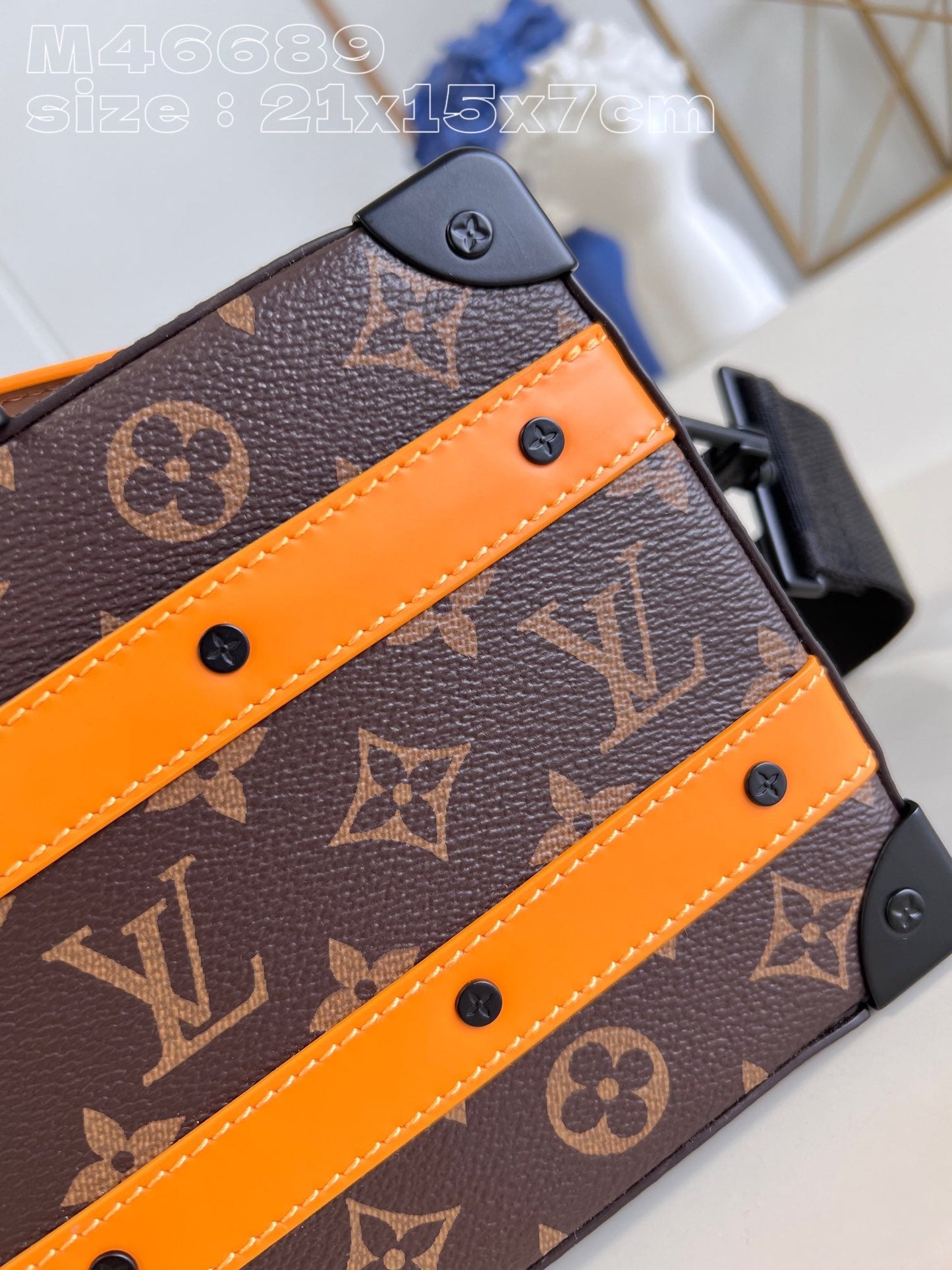Louis Vuitton Soft Handle Trunk Bag