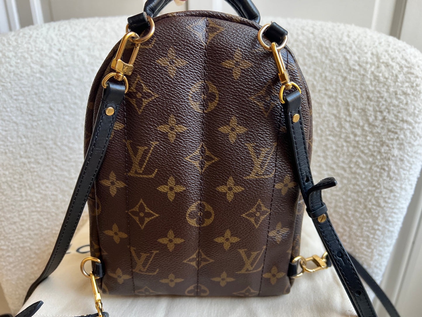 Louis Vuitton Palm Springs Mini Backpack (RRP £1,860)