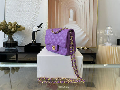 Chanel Luxury Handbag Style 450