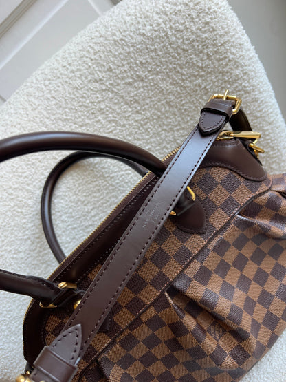 Vuitton Trevi PM Damier Ebene