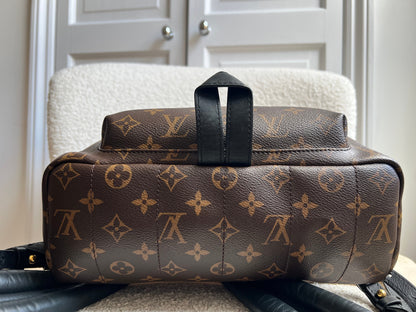 Louis Vuitton Palm Springs MM Backpack (RRP £2,090)