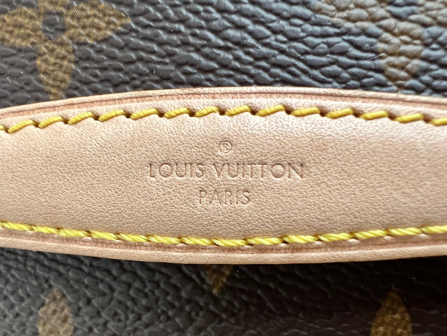 Louis Vuitton Nice Nano Bag Vanity Case (RRP £750)