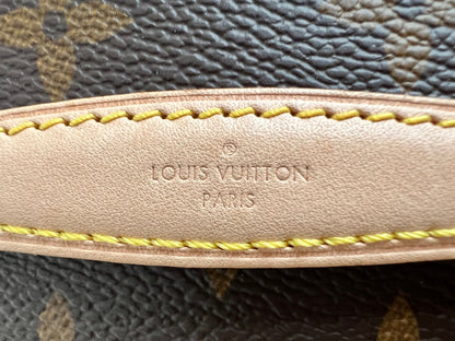 Louis Vuitton Nice Nano Bag Vanity Case (RRP £750)