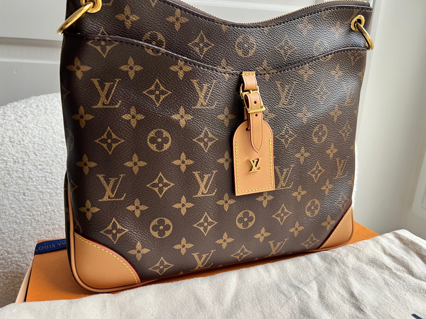 Louis Vuitton Odeon Monogram (RRP £1670)