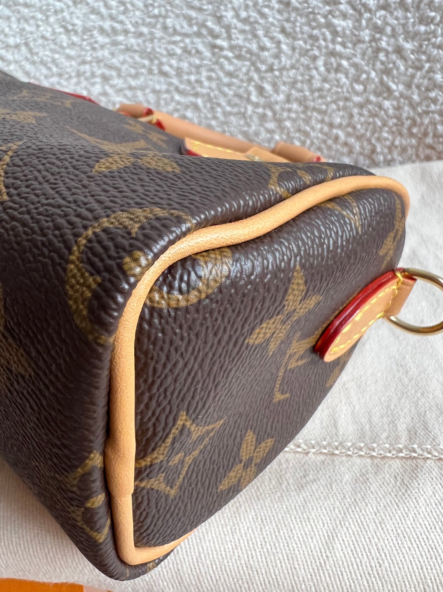 Louis Vuitton Speedy Nano Monogram (RRP £1420)
