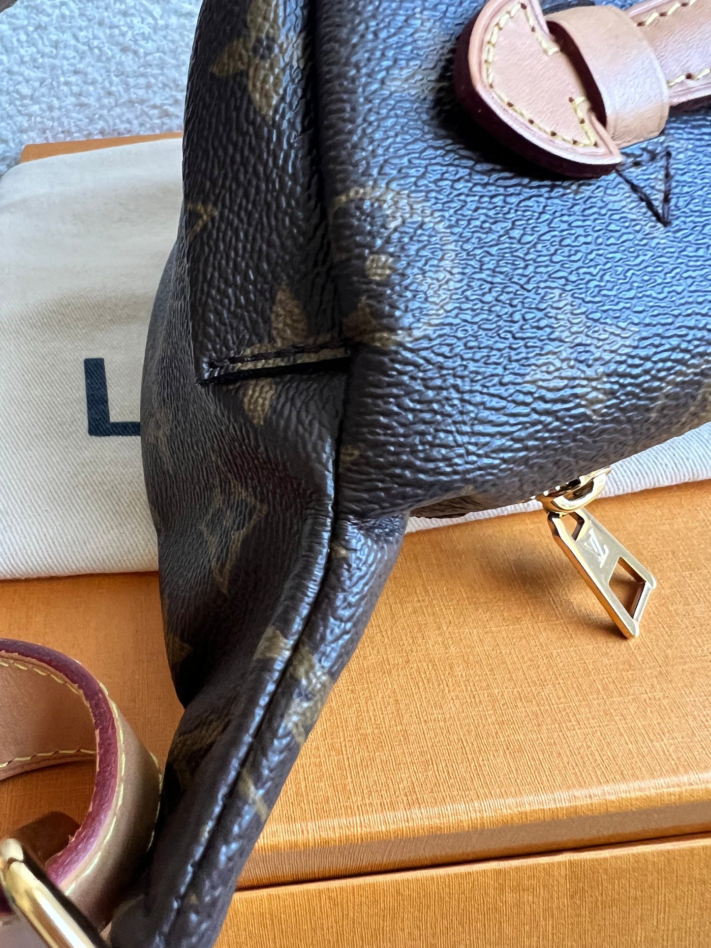 Louis Vuitton Bumbag in Monogram Canvas